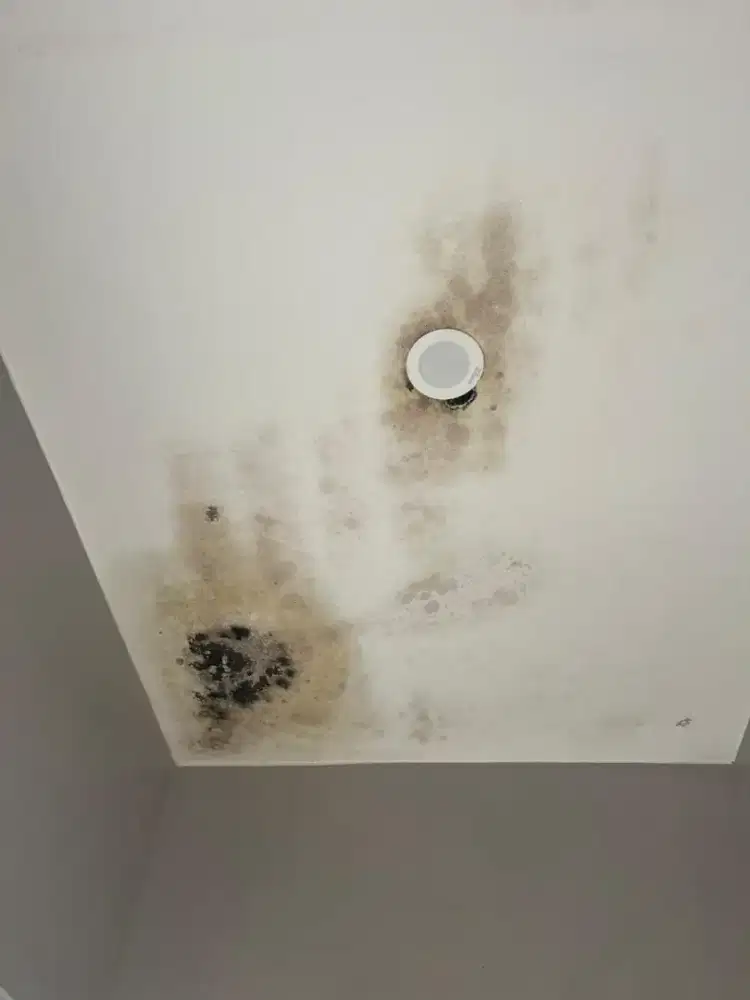 Jasa perbaikan atap bocor talang air, dan dak rembes