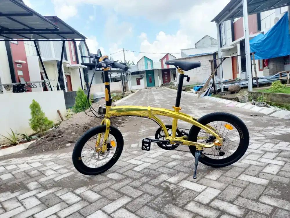 Sepeda lioat maximo 20