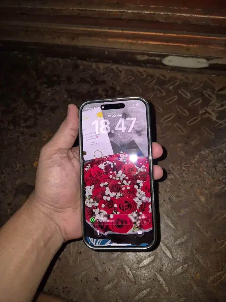 Jual hp ip 16promax 256gb