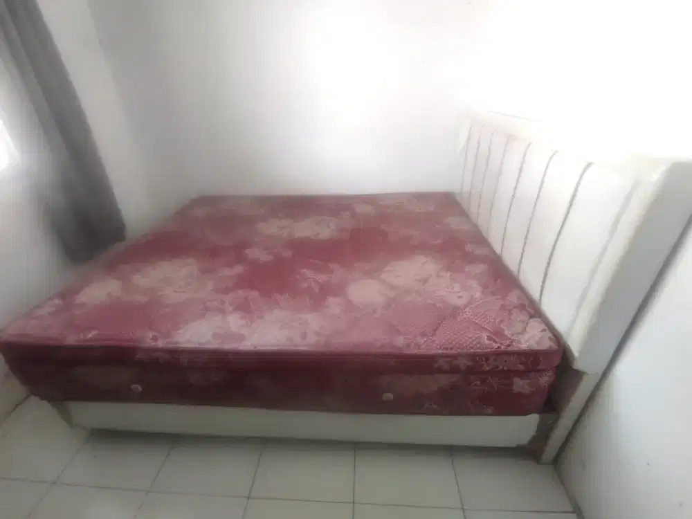 Spring Bed Javaland + Dipan 160 x 200