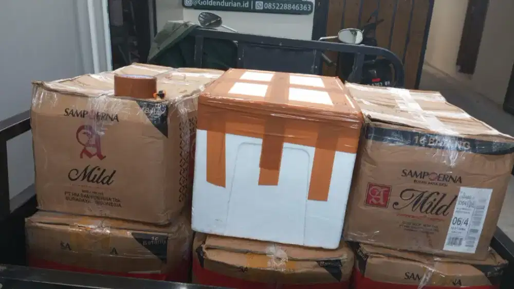 Grosir dan Ecer DagDur Termurah