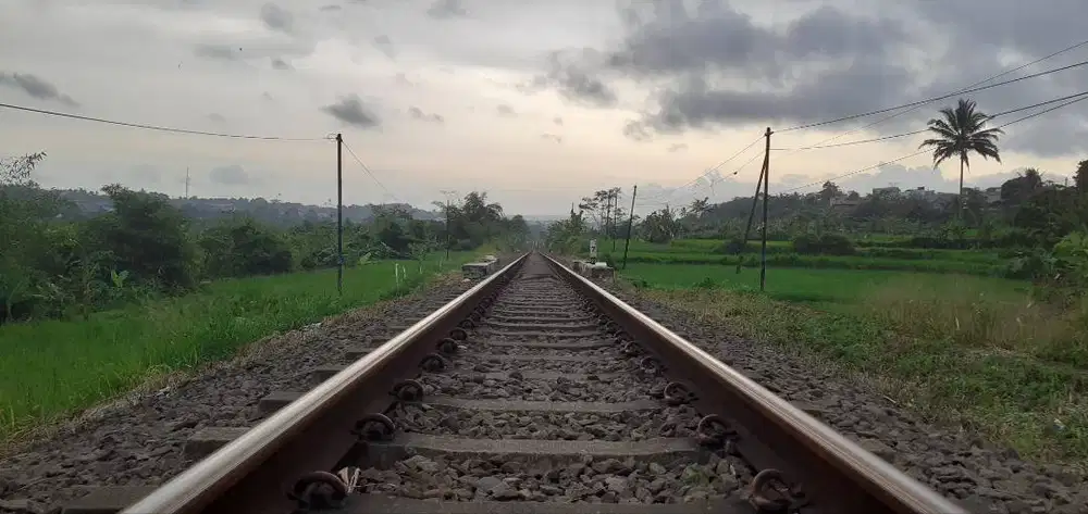 Saya Mencari pekerjaan sebagai personal assistant