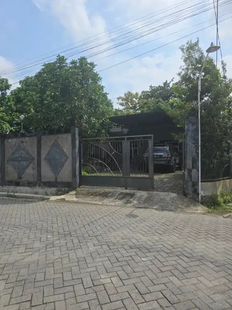 Dibutuhkan staff dokumen export