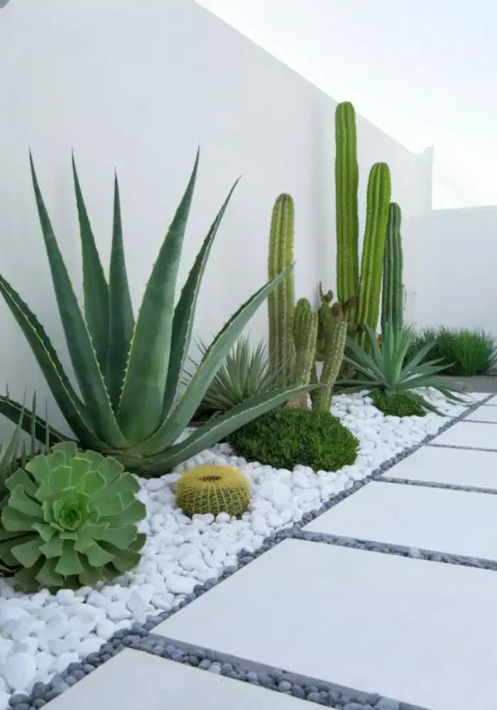 menerima pembuatan taman kering taman minimalis