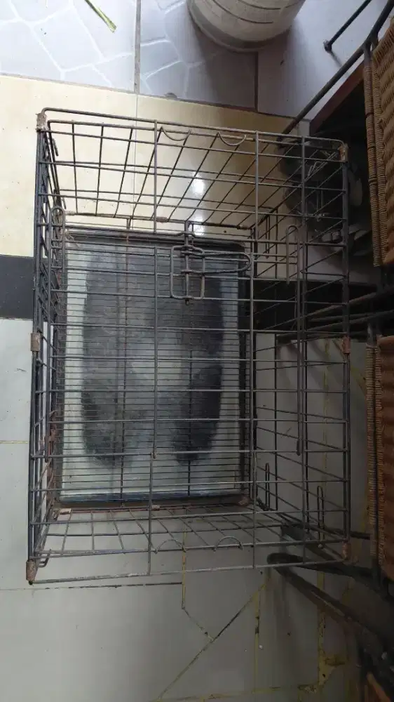 Kandang anjing siap pake