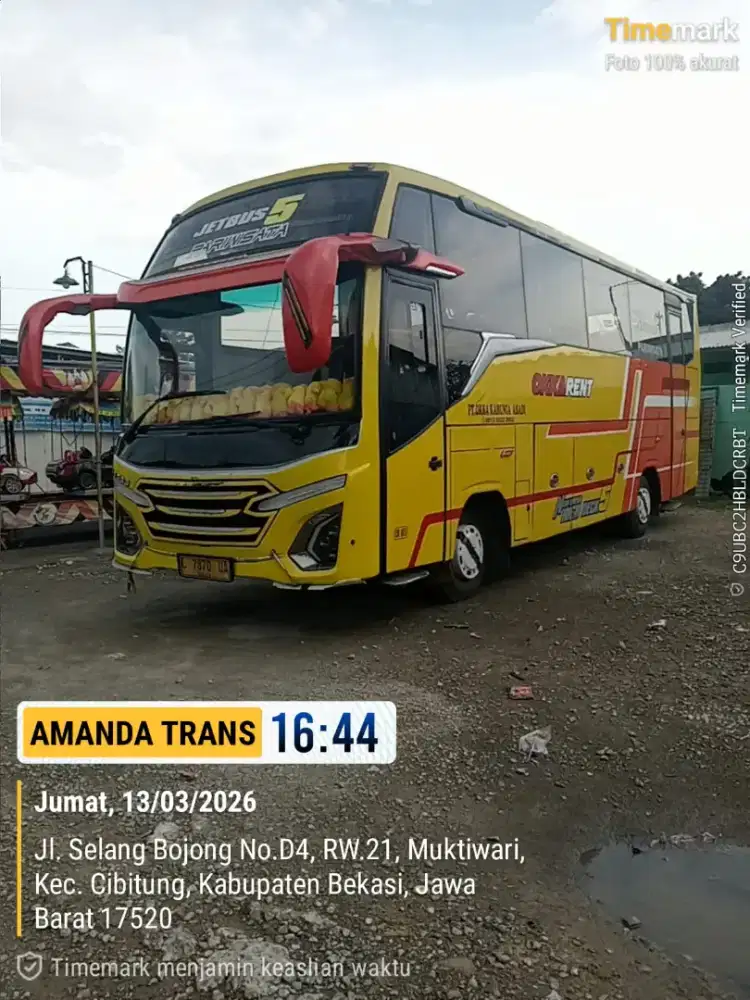 Bus medium isuzu nqr