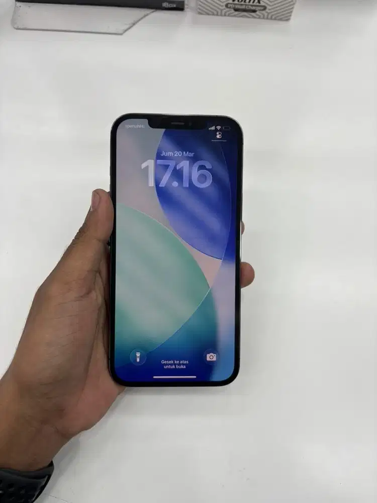 DIJUAL 12 PRO MAX 256 IBOX