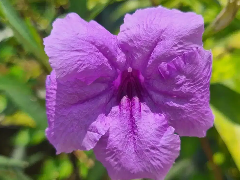 JUAL CEPAT RUMAH HOEK AREA KOMERSIL, GRIYA BUKIT JAYA, GUNUNG PUTRI