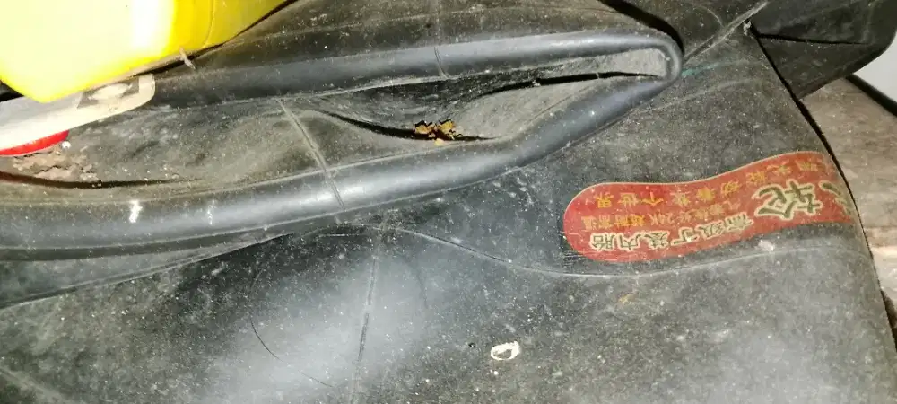 ban bus/truk masih baru nominus