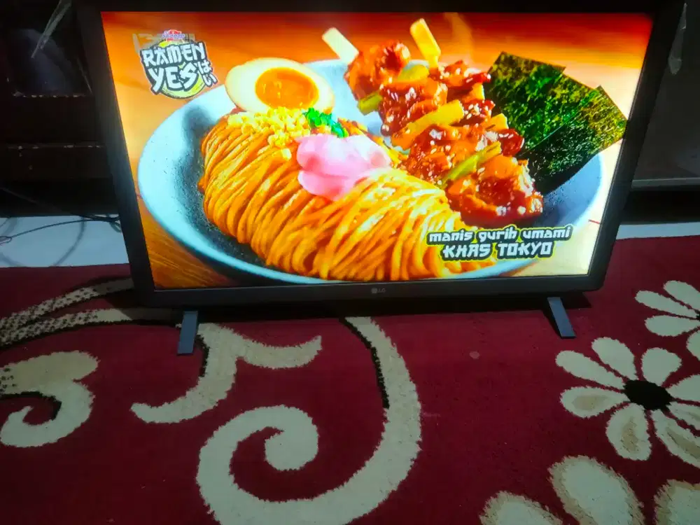 TV LED LG 24 inc NORMAL REMOT ADA ANALOG