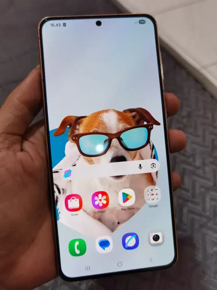 samsung s21+ resmi sein