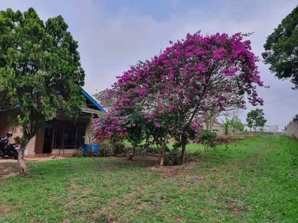 Tanah Mainroad Parakan Muncang sudah dibenteng luas 3520m2