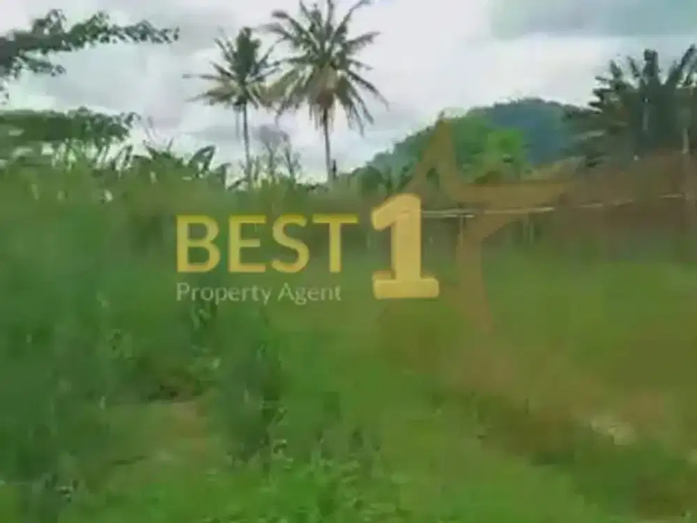 Tanah Murah Luas Cocok Untuk di Pontianak Kalimantan Barat