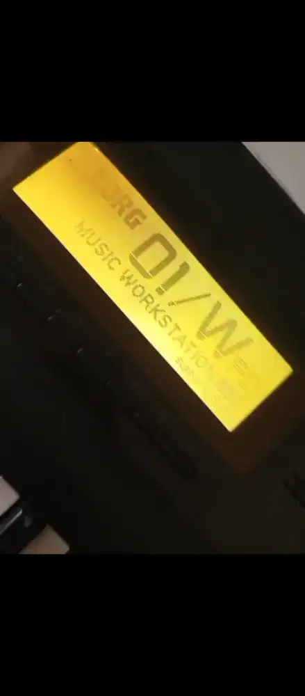 KORG 01/wfd dgn hardcase