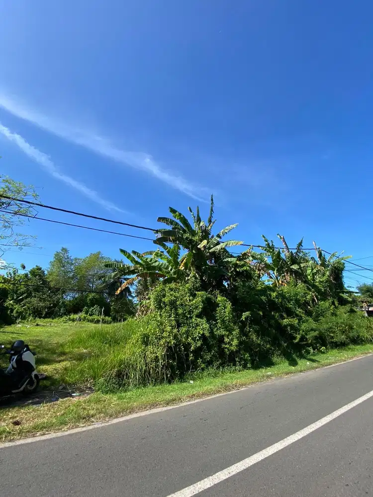 Dijual tanah 10 are pinggir jalan besar