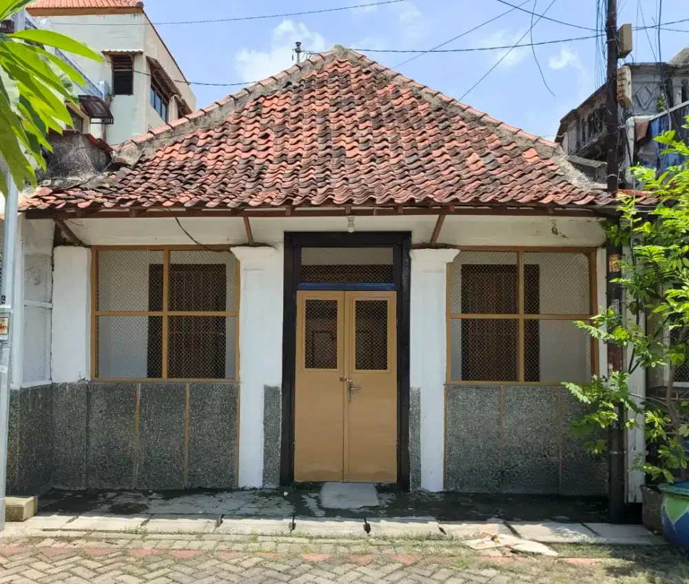 Disewakan Rumah Nyaman (Hadap Utara)