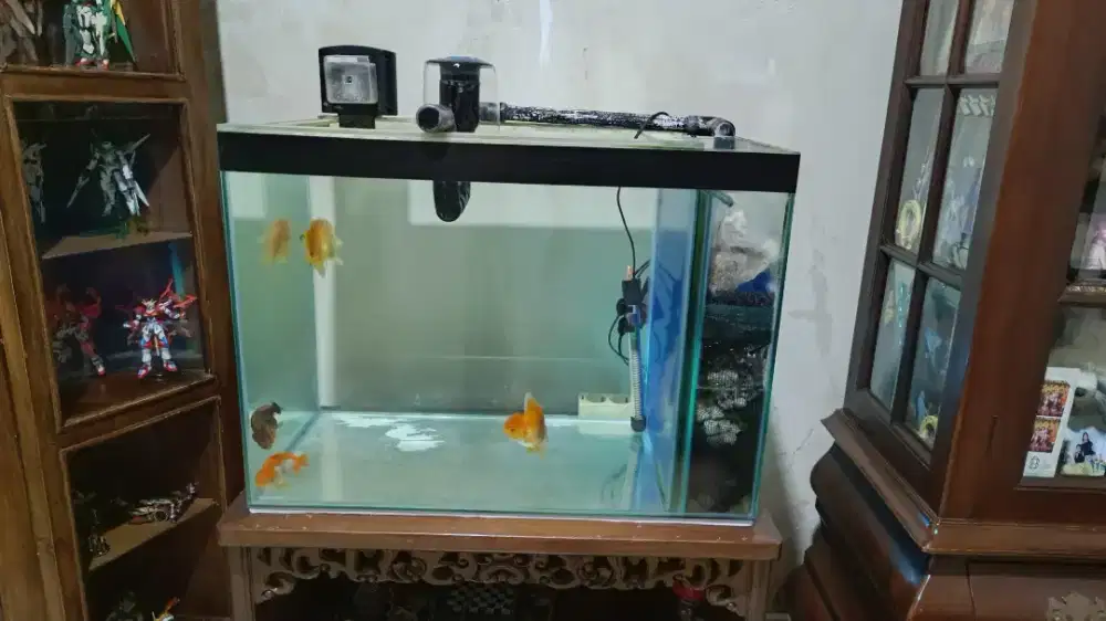 Jual aquarium full set
