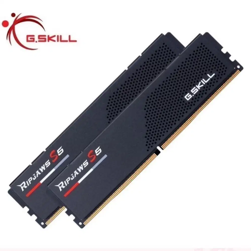 Ram Ddr 5 6000mhz gskil 48gb