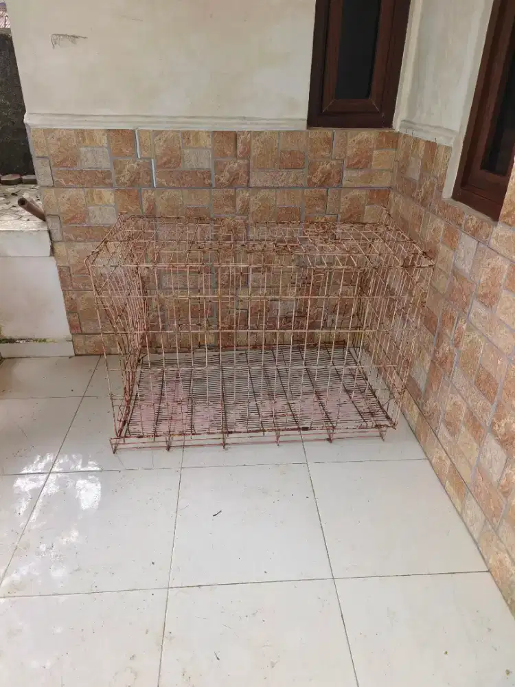 Kandang kucing gratis