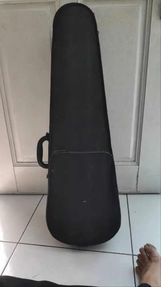 Dijual 1 set alat musik gesek BIOLA