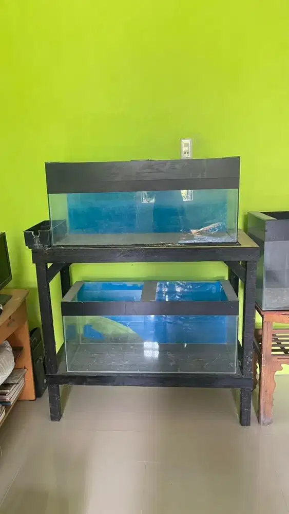 Aquarium ikan koki