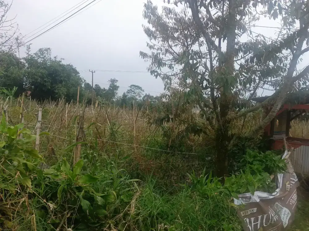 Tanah SHM Palasari Ciater Subang