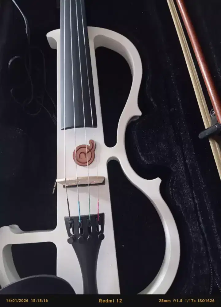 Biola elektrik mandalika like neww