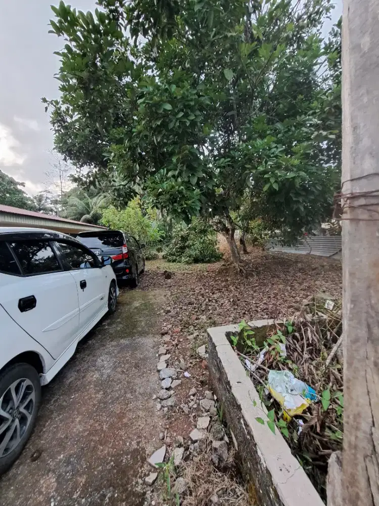 Jual tanah cepat aman menguntungkan