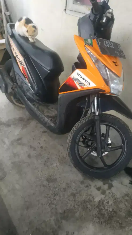 beat fi 2013 stater kasar