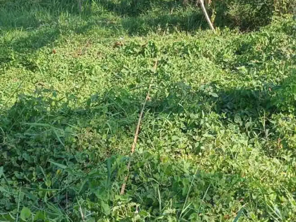 Raya Sidogiri Kraton Pasuruan