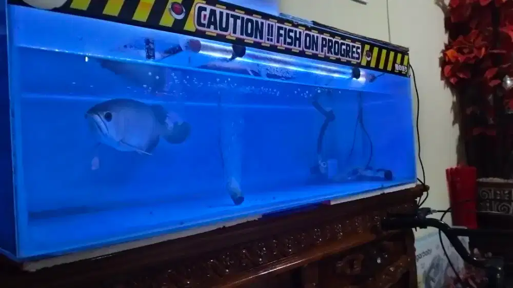 Akuarium 1 mtr x 45 cm fullset