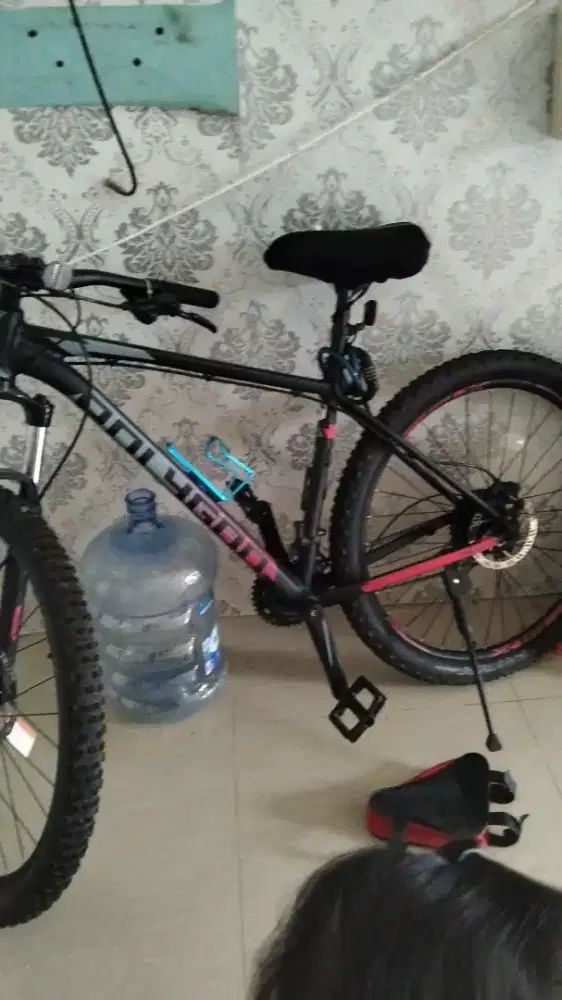 Sepeda Polygon dewasa