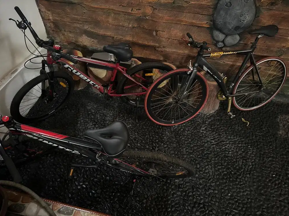 Sepeda gunung dan fixie