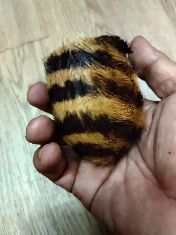 Kerajinan dari kulit