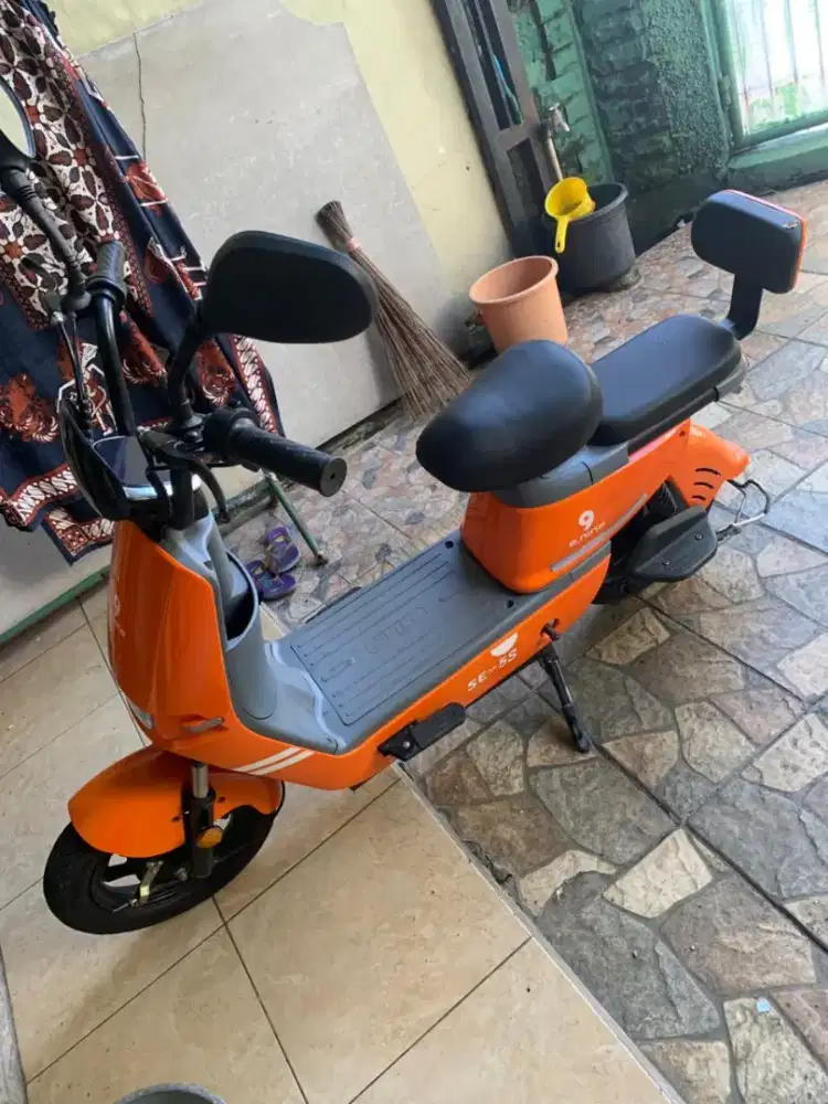 Selis E. Nine normal