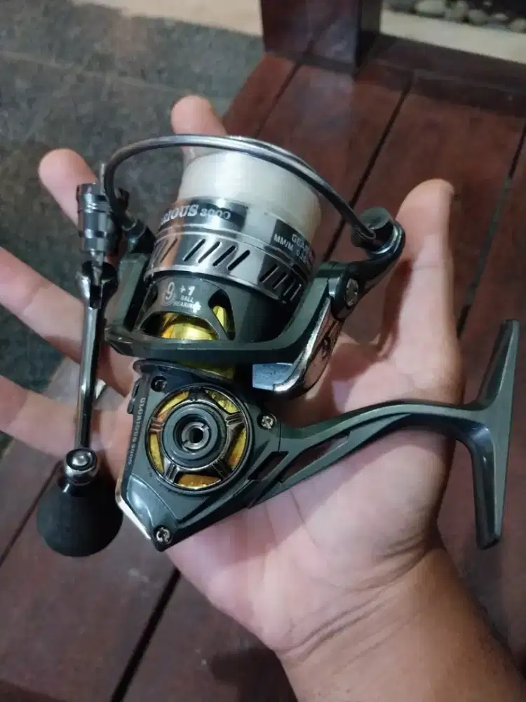 Reel hinomiya glorius