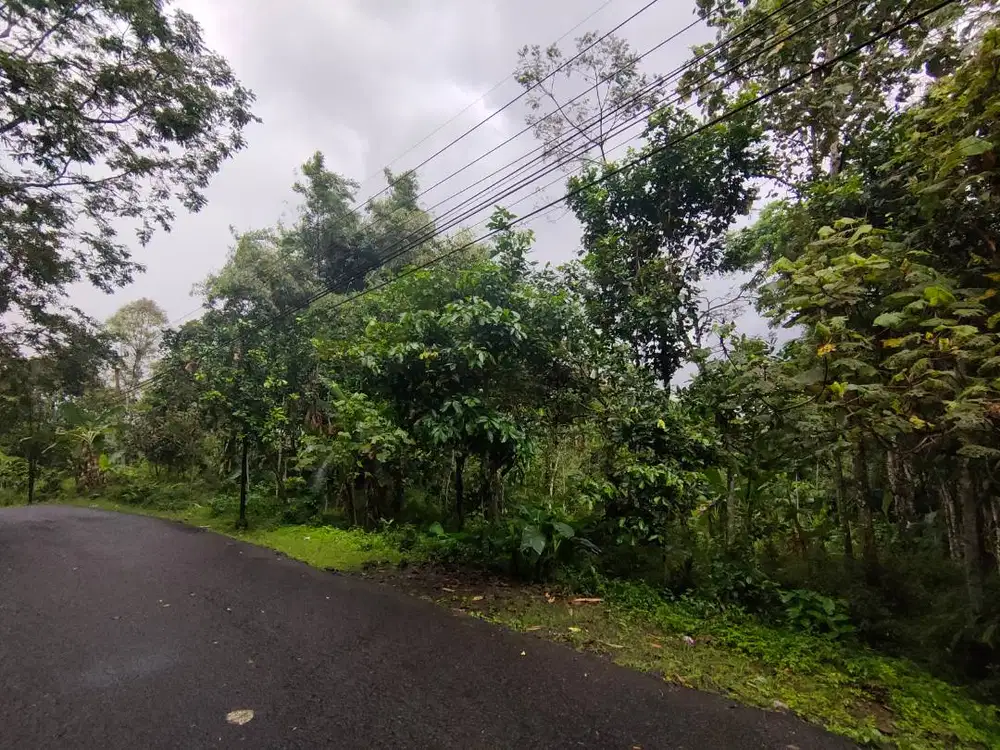 jual tanah / kebun kabupaten sumedang