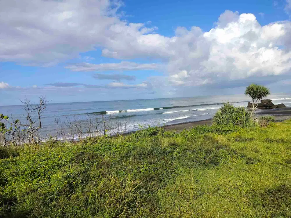 jual tanah beach front./ los pantai..luas 800 m2../8are..harga 750jt/ are