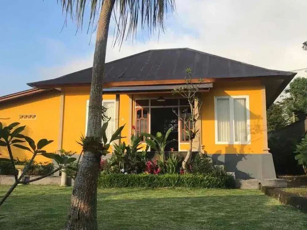 Beautiful villa for rent in Wanagiri, Bedugul, Singaraja, Bali! Located on Jl. Bhuana Sari, cool & misty climate