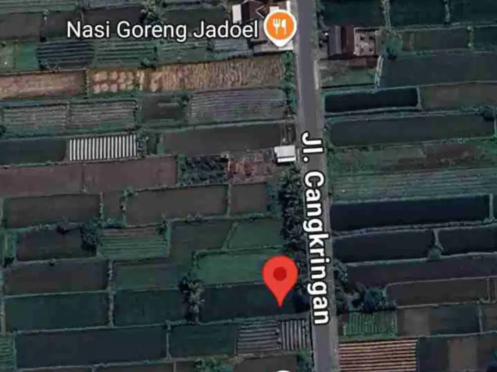 Dijual Murah Tanah Tepi Jalan Aspal View Hamparan Sawah Hijau di Selomartani Kalasan Sleman Yogyakarta