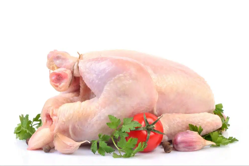 RUMAH POTONG AYAM MAGELANG