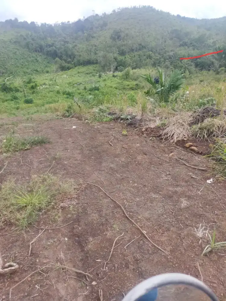 Tanah dijual di daerah pedalaman Kalimantan Barat
