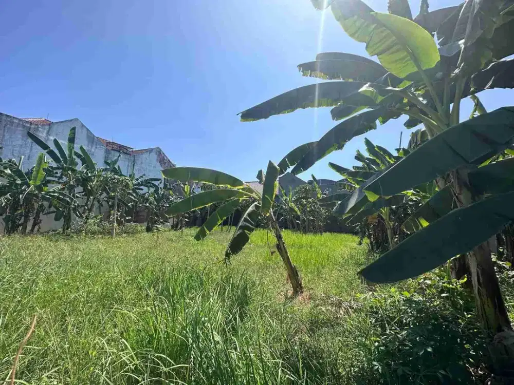 Dijual Tanah Kavling Wisma Mukti Klampis Semolo Row Jalan 4 Mobil Surabaya Timur