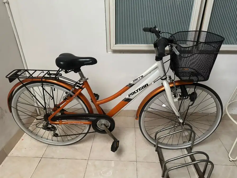 Sepeda keranjang polygon