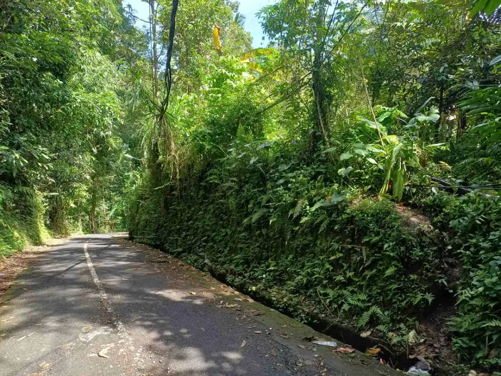 land for lease   16 menit ke ubud kota