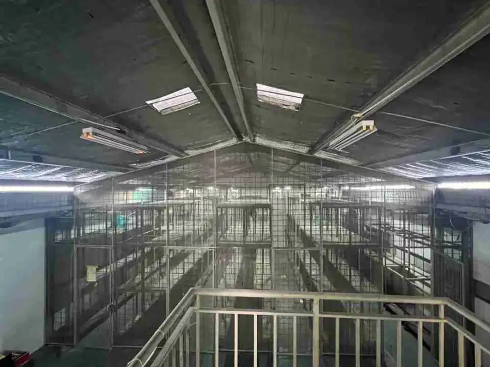 Disewakan Gudang Elang Laut Rapih Siap Masuk 3 Lantai Pantai Indah Kapuk Jakarta Utara