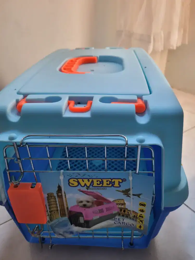 Pet cargo kucing