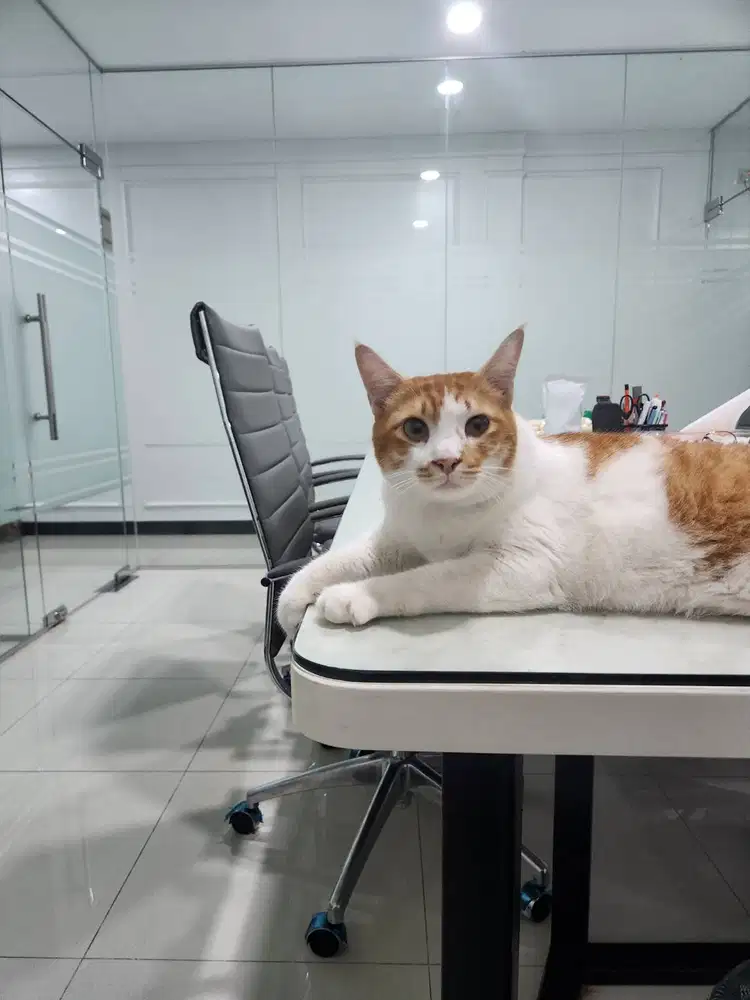 ART/PRT WANITA MENGINAP