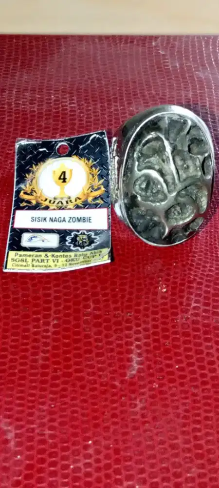 Sisik Naga Zombie Natural Batu Kontes