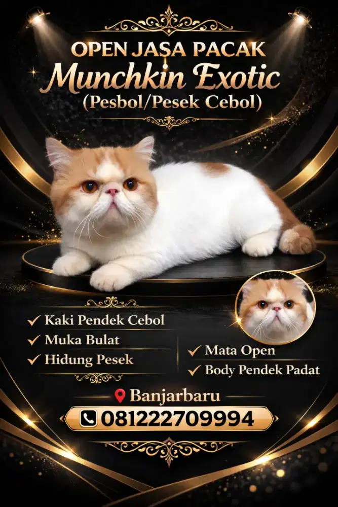 Jasa pacak kucing